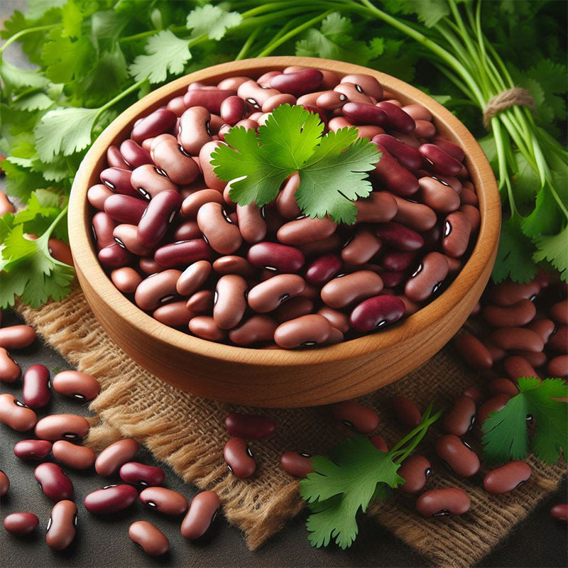 Kidney Beans (Rajma)